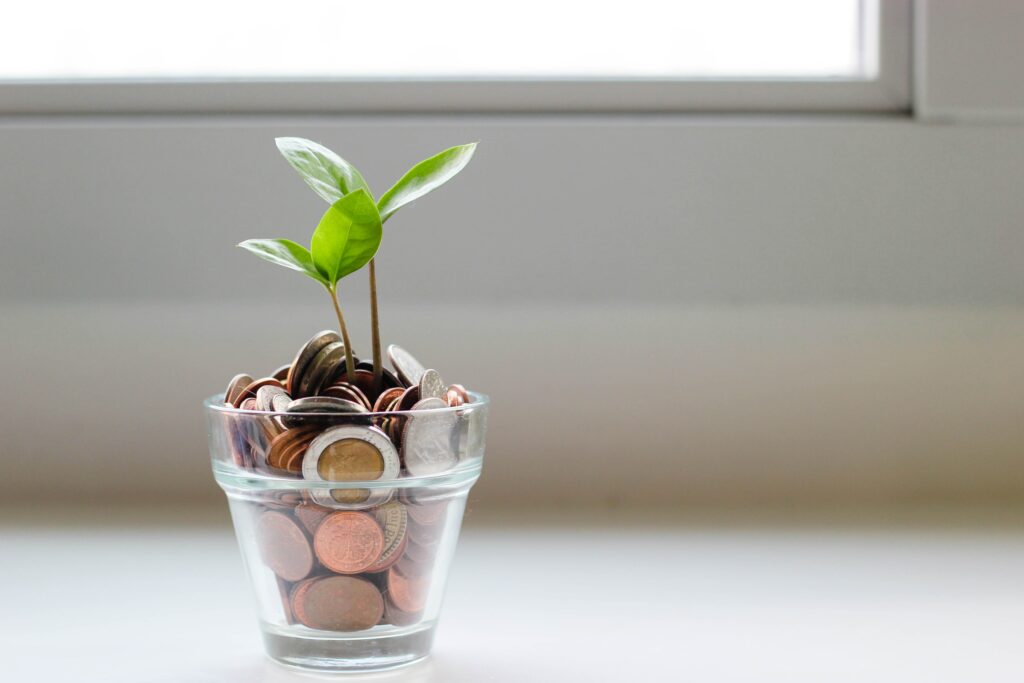Pflanze wächst aus Geld